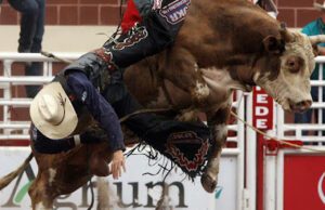 Calgary Stampede